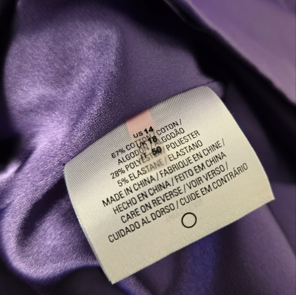 Elie Tahari Roxanna Poplin Ruffle Neck Trim Dress Prism Lilac 14 - Picture 12 of 15